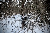 Трофи-лайф фото 4х4 корпоративное мероприятие 21.12.2024 -  (145).JPG