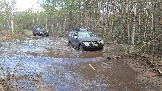 20260502_133526.jpg