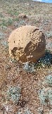 Трофи-лайф Экспедиция Казахстан Май 2024 (11).jpg
