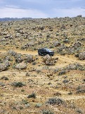 Трофи-лайф Экспедиция Казахстан Май 2024 (37).jpg