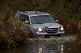 IMG_8808.jpeg