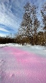 IMG_8012.jpg