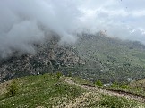 IMG_8470.JPEG