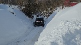 20260222_113059.jpg