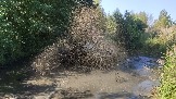 Трофи-лайф фото 4х4 покатушка Воскресенские Карьеры 31.08.2024 -  (2).JPG