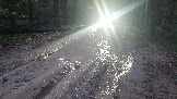 20231011_173753.jpg