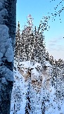 15E21970-CB8F-4F81-8300-FB902AD2BF43.jpeg