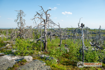 _DSC7404.jpg