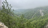 IMG_8509.JPEG