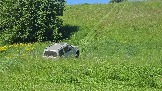 20260606_132730.jpg