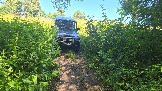 20260801_123809.jpg