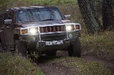 IMG_8967.jpeg