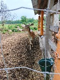 IMG_20260613_135239_605.jpg