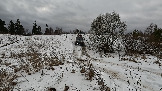 Трофи-лайф фото 4х4 покатушка Подвиги Русского Солдата 02.01.2025 - (55).jpg