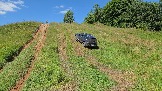 20260801_120619.jpg