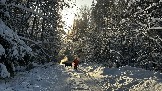 IMG_3205.JPG