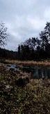 IMG_20231105_112236.jpg