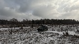 Трофи-лайф фото 4х4 покатушка Школа 4х4 16.02.2025 -  (27).jpg