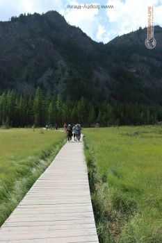 Фото Трофи-лайф 4х4 экспедиция на Алтай 12-16.08.21 - 705.JPG