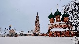 IMG_5981.jpg