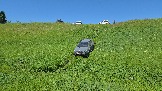 20260606_132452.jpg