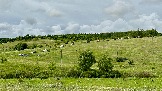 IMG_1270.jpg