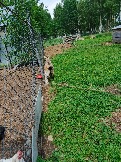 IMG_20260613_135533_738.jpg