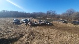 20250308_121343.jpg