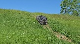 20260606_132205.jpg