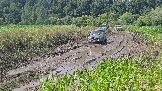 20260801_135048.jpg