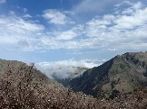 IMG_8610.JPEG