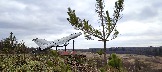 IMG_20231105_140919.jpg
