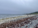IMG_9439.jpeg