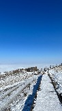 D209DB0D-3D6B-4C64-9303-5966863D18E2.jpeg