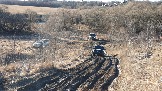20250308_161716.jpg