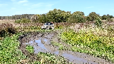 Трофи-лайф фото 4х4 покатушка Старокалужский Тракт 14.09.2024 -  (17).png