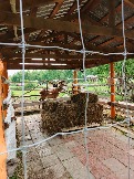 IMG_20260613_135251_090.jpg