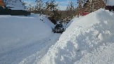 20260222_113108.jpg