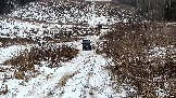 Трофи-лайф фото 4х4 покатушка Рогачевские Сокровища  08.02.2025 - (26).jpg