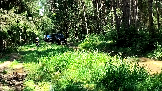 Трофи-лайф фото 4х4 покатушка Плещеевская Кругосветка 20.07.2024 -  (38).png