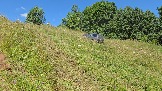 20260801_120711.jpg