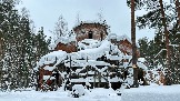 IMG_7752.jpg