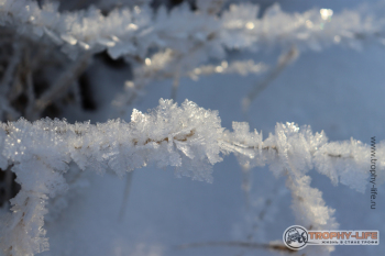 Фото Трофи-лайф 4х4 покатушка Южные Косогоры 12.12.20 - 170.JPG