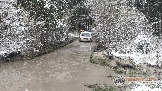Фото Трофи-лайф 4х4 покатушка Новоистринские Просеки 28.10.23 - 427.jpg