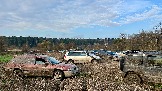 IMG_7571.jpg