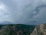 IMG_8731.JPEG