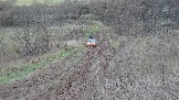 20251025_170329.jpg