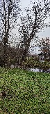 IMG_20231104_104357.jpg