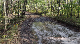 Трофи-лайф фото 4х4 покатушка Шатурские Тайны 28.09.2024 -  (10).png