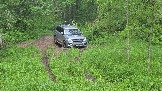20260530_170501.jpg